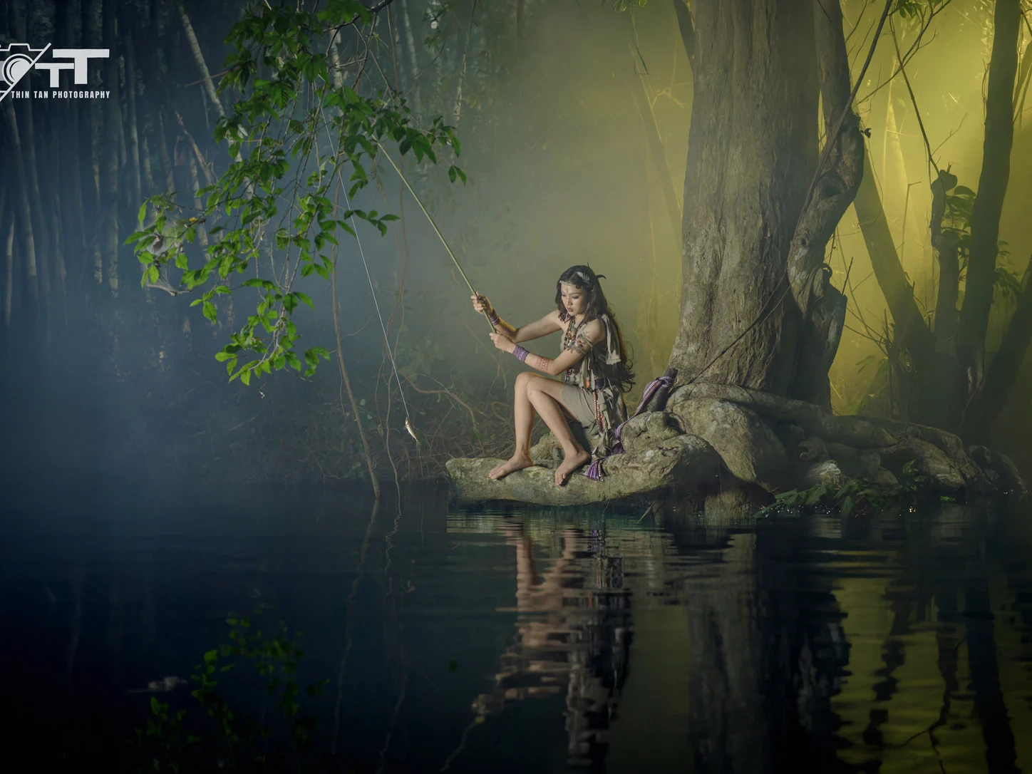 Between Light and Story — image 1